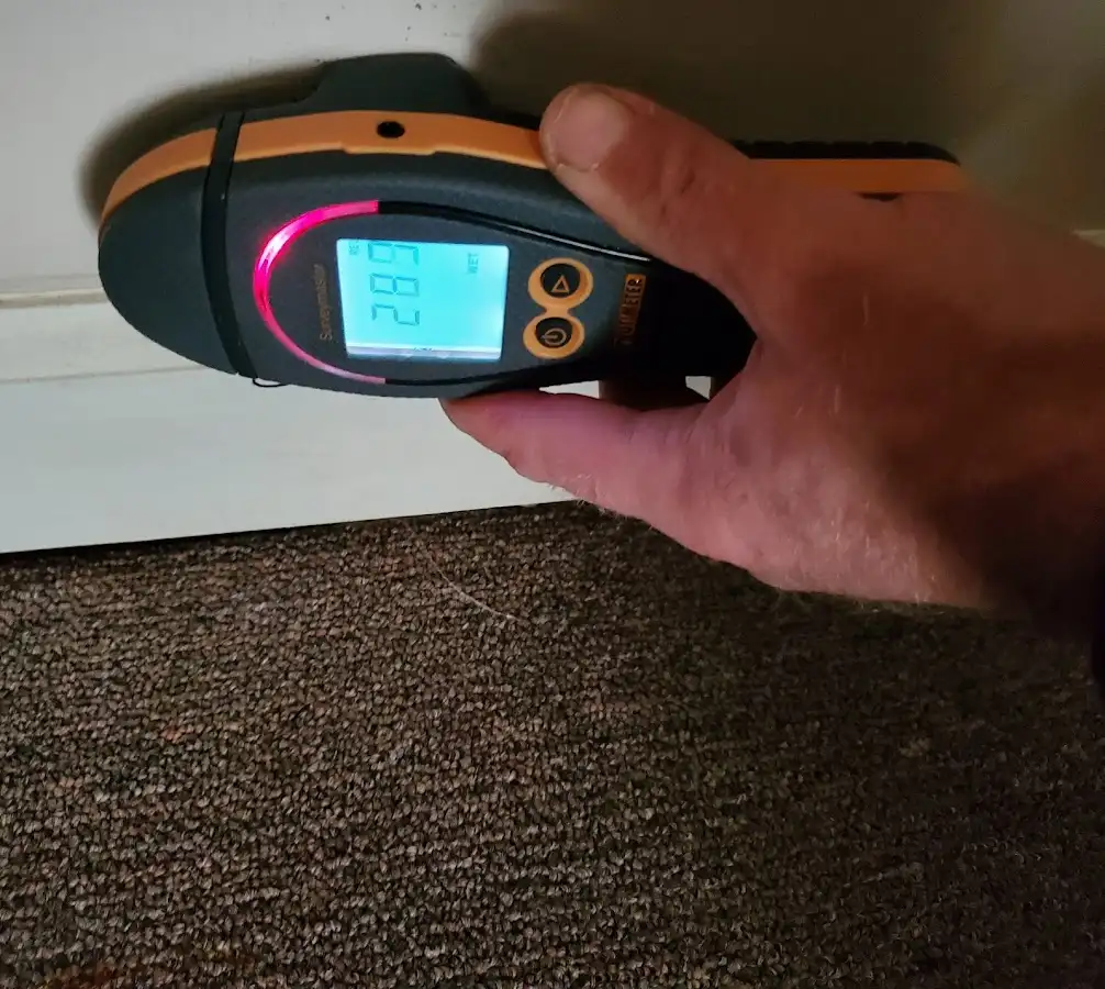 Moisture detection at baseboard during Sewage Cleanup & Sanitation in Comstock
